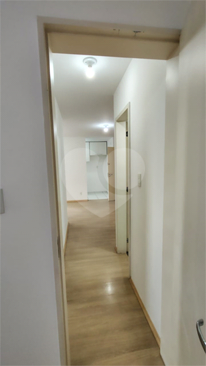 Foto REO1096985