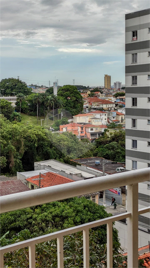 Foto REO1096985