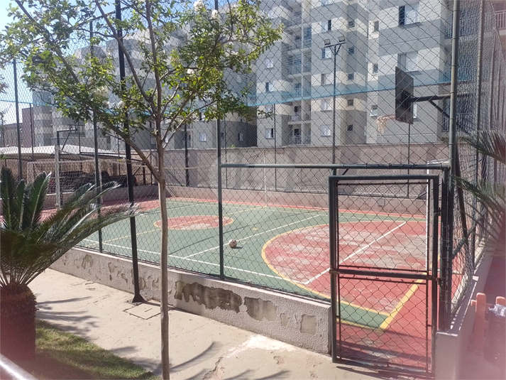 Foto REO1096996