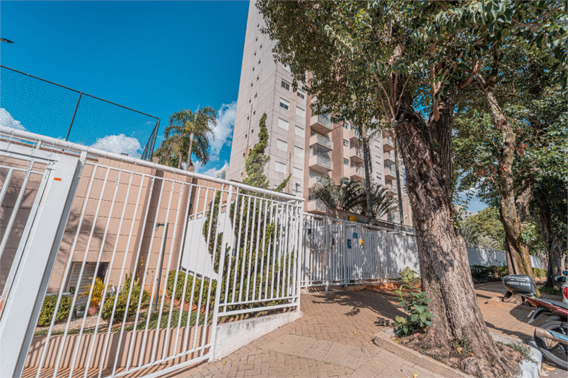 Foto REO1097009