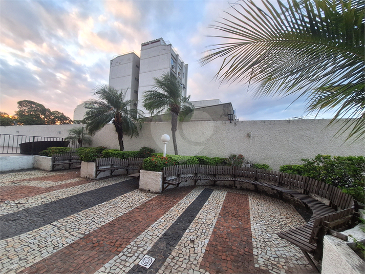 Foto REO1097025