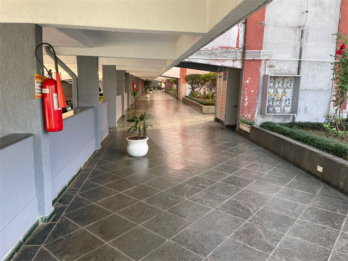 Foto REO1097041