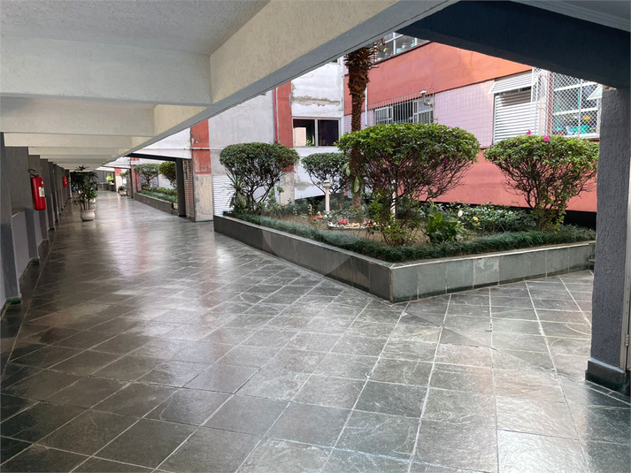 Foto REO1097041