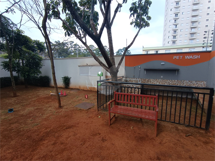 Foto REO1097069