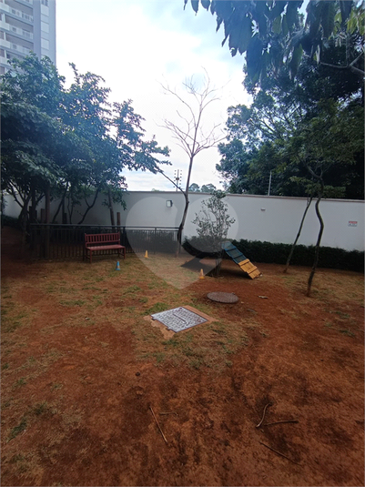 Foto REO1097069