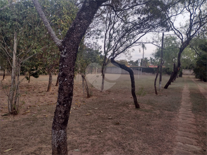 Foto REO1097073