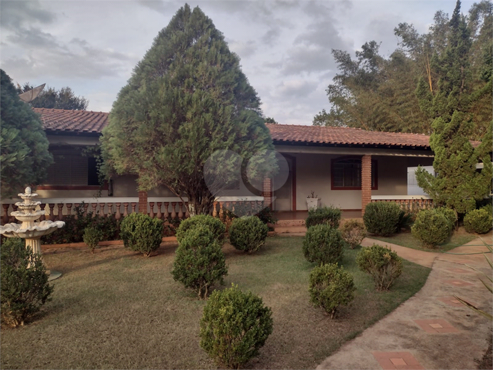 Foto REO1097073