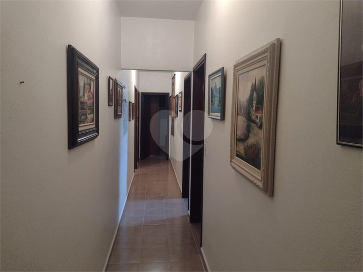 Foto REO1097073