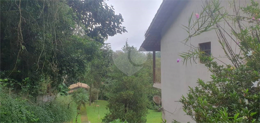 Foto REO1097077
