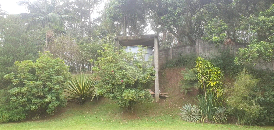 Foto REO1097077
