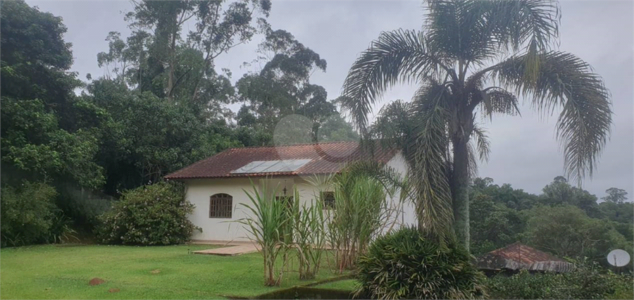 Foto REO1097077