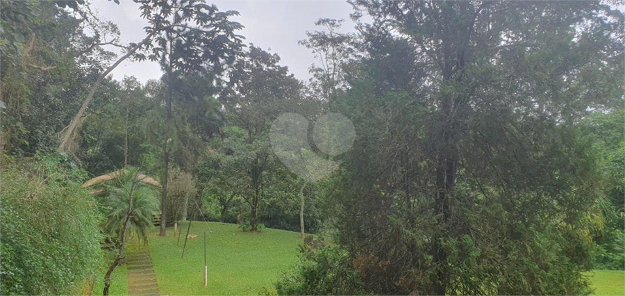 Foto REO1097077