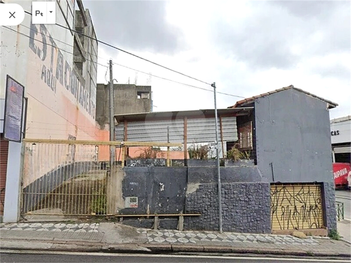 Foto REO1097079