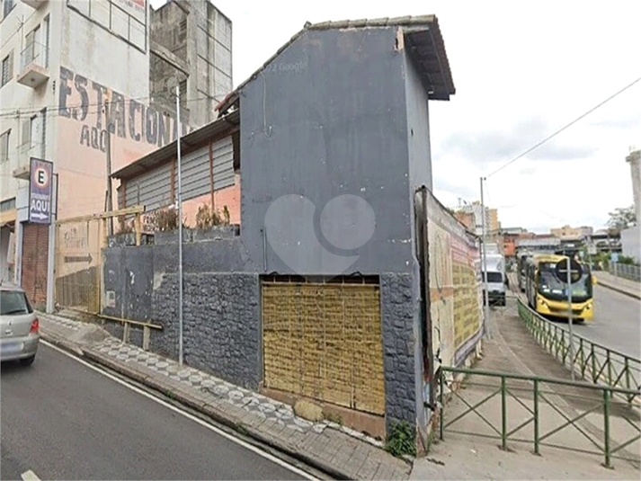 Foto REO1097079