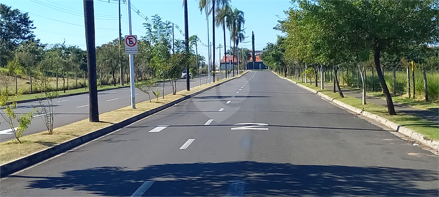 Foto REO1097081