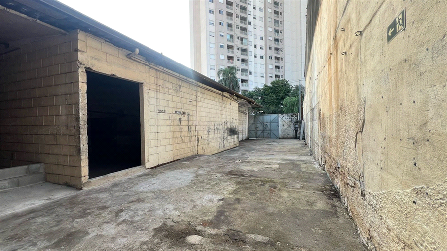 Foto REO1097105