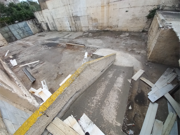 Foto REO1097105