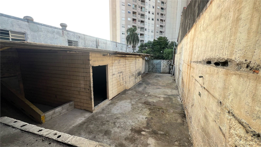 Foto REO1097105