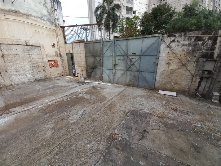 Foto REO1097105