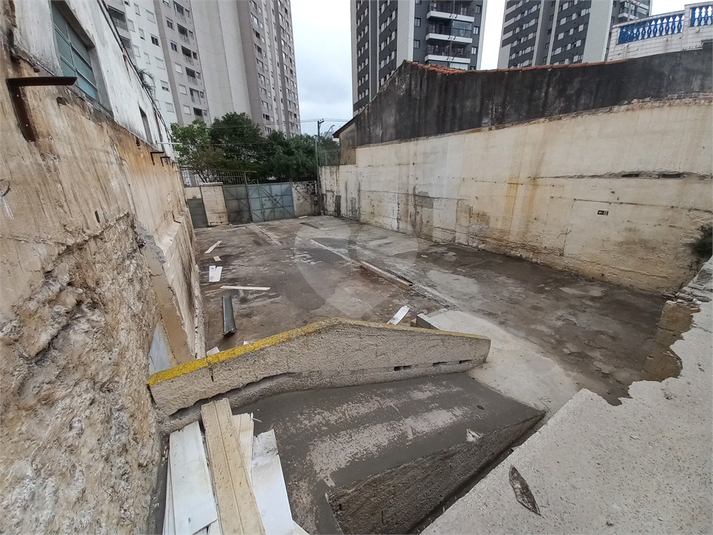 Foto REO1097105