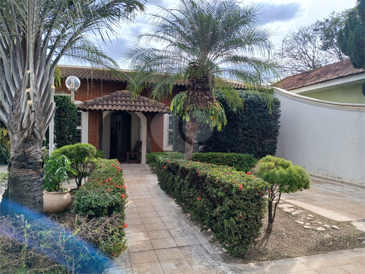 Foto REO1097117