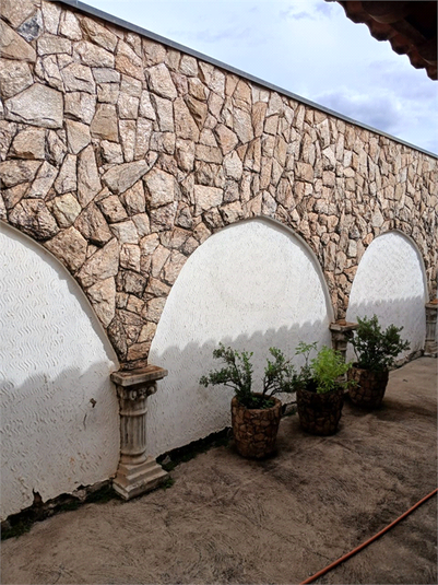 Foto REO1097117