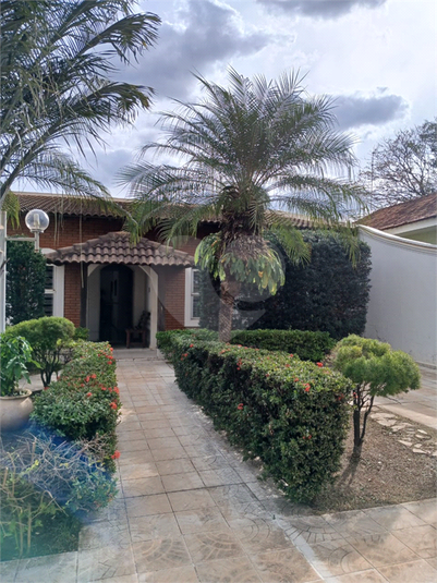 Foto REO1097117