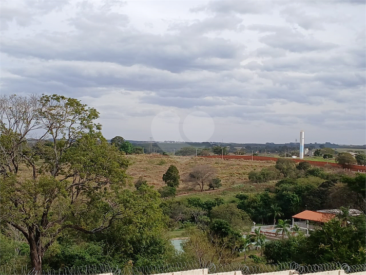 Foto REO1097117