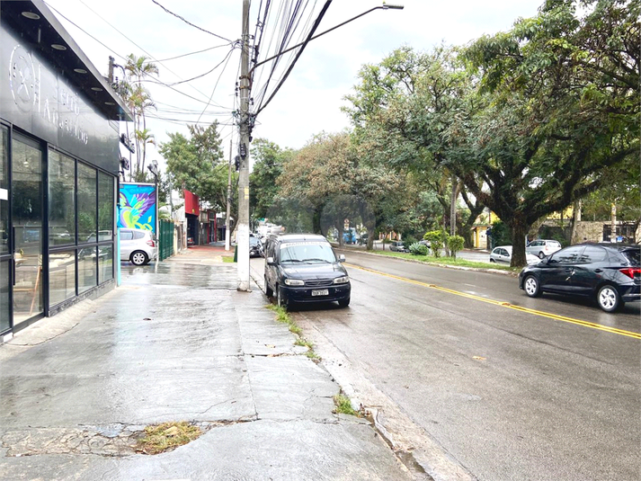 Foto REO1097126