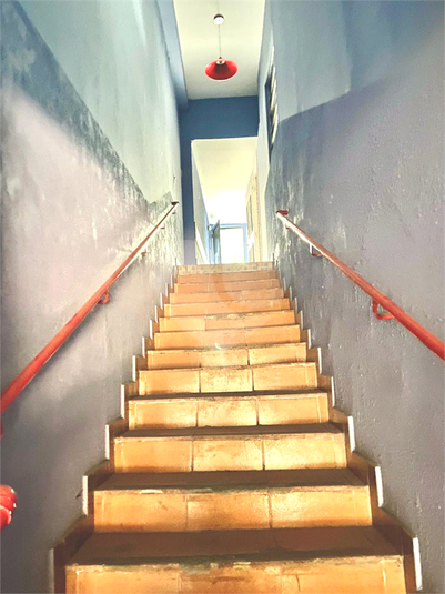 Foto REO1097126