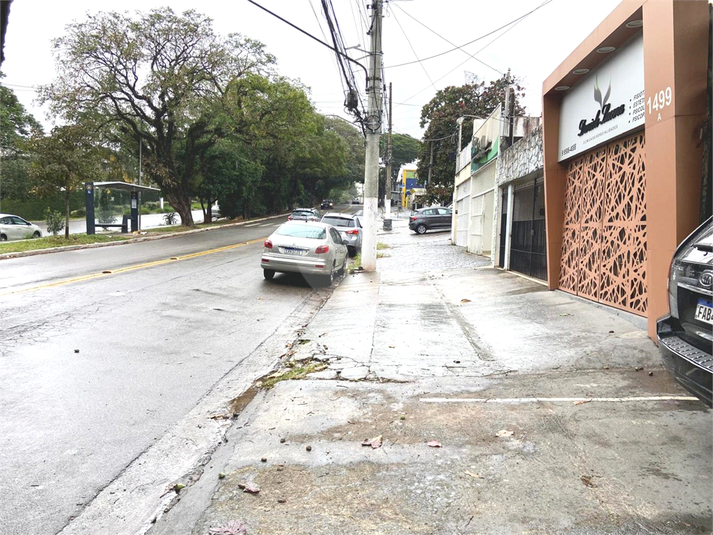 Foto REO1097126