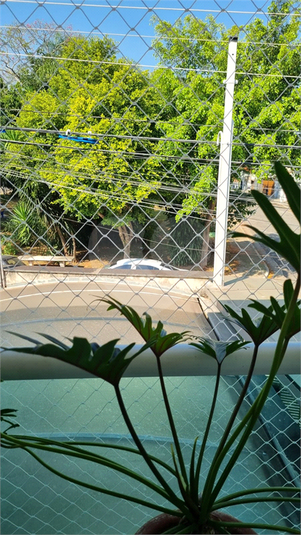 Foto REO1097128