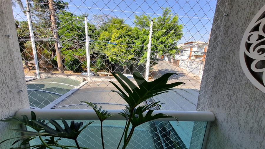 Foto REO1097128