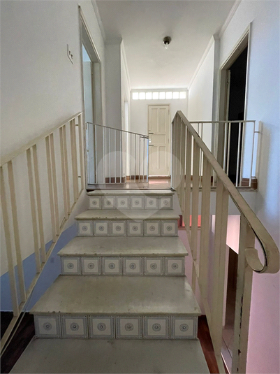 Foto REO1097132