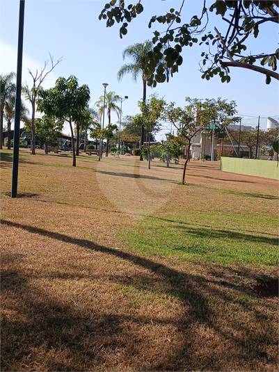 Foto REO1097135