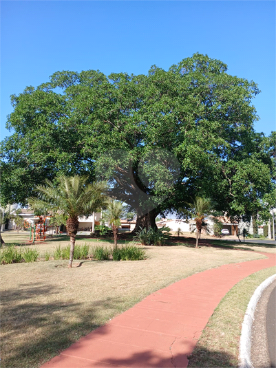 Foto REO1097135