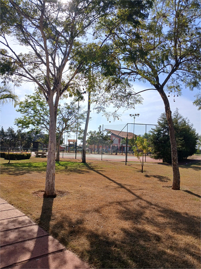 Foto REO1097135