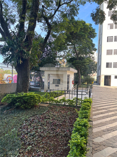 Foto REO1097141