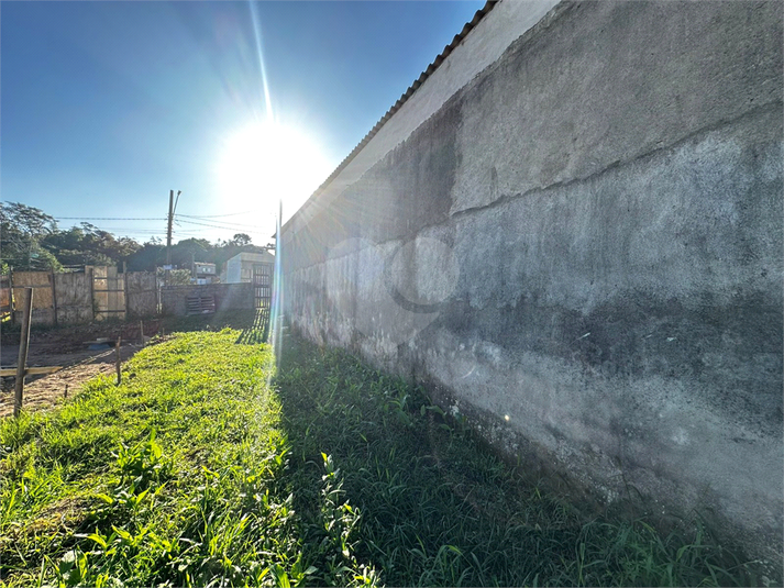 Foto REO1097144
