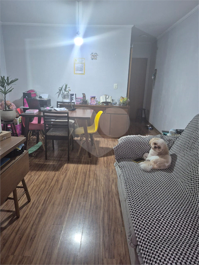 Foto REO1097148
