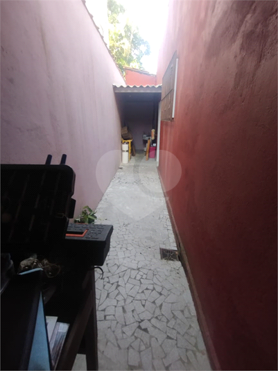 Foto REO1097156