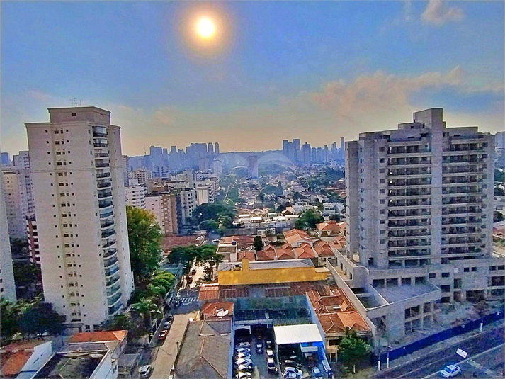 Foto REO1097164