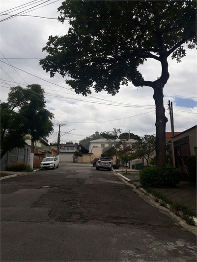 Foto REO1097190