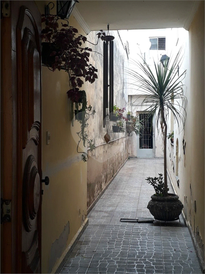 Foto REO1097190