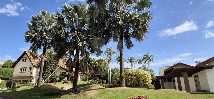 Foto REO1097243