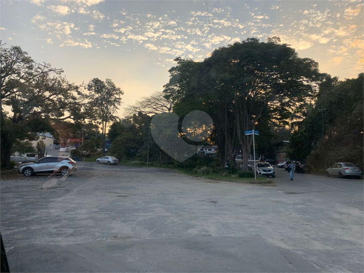 Foto REO1097247
