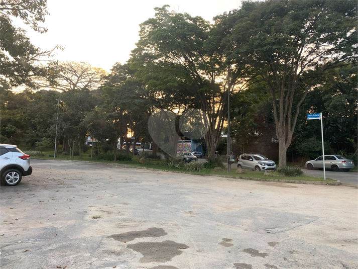 Foto REO1097247