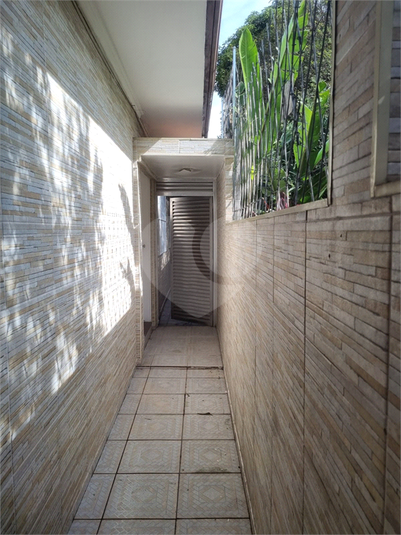 Foto REO1097251