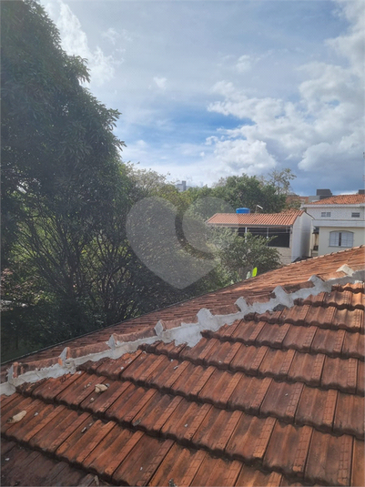 Foto REO1097251