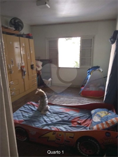 Foto REO1097256